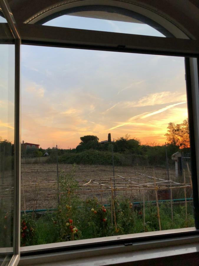 אפריליה Agriturismo "Lo Zafferano" מראה חיצוני תמונה